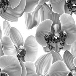 Orchids Pencil Drawing free seamless pattern