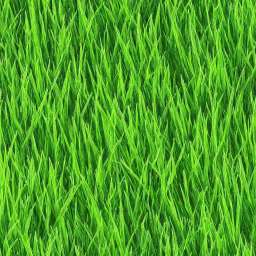 Grass Seamless Pattern Category