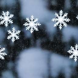 Snowflake Seamless Pattern Category