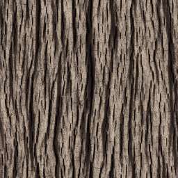 Wood Bark Seamless Pattern Category