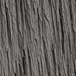 Detailed Wood Bark Texture free seamless pattern