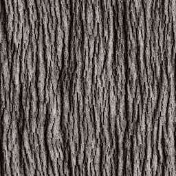 Intricate Vertical Wood Bark Texture free seamless pattern